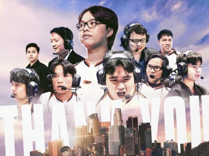 专业bevictor伟德官网服务